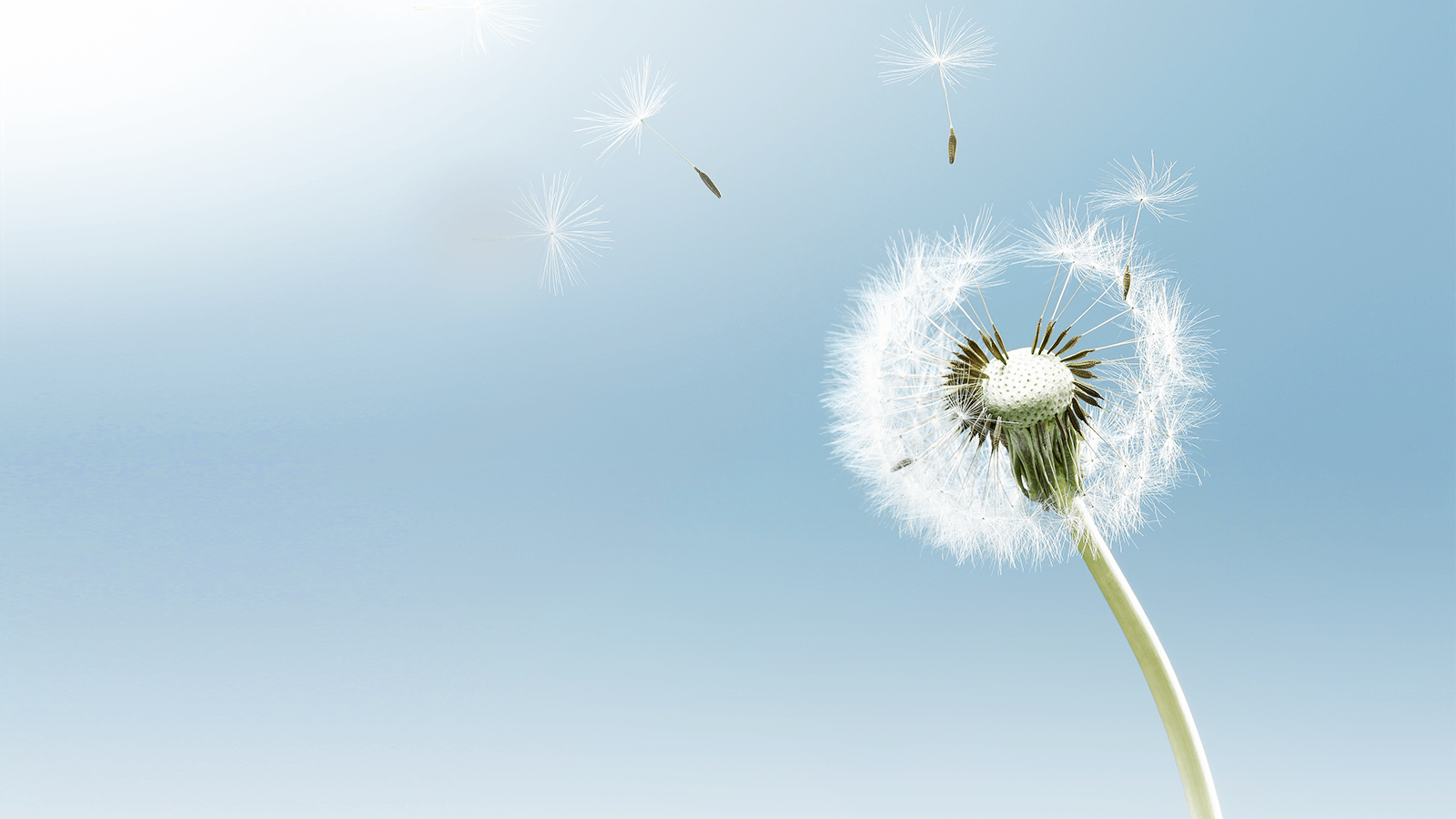 20180103103054606 GA»Æ½ð¼×¡¤(Öйú¼¯ÍÅ)¹Ù·½ÍøÕ¾